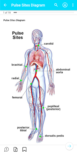 My Nursing Mastery Student, NCLEX  Nurses Guide