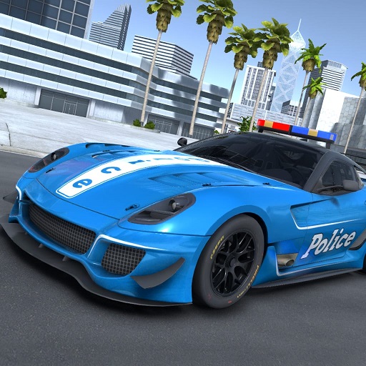 Police Car Games Thief Chase