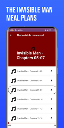 The invisible man novel Screen 2