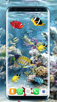 水族館の魚が住んでいます 壁紙3d魚 テーマ Androidアプリ Applion