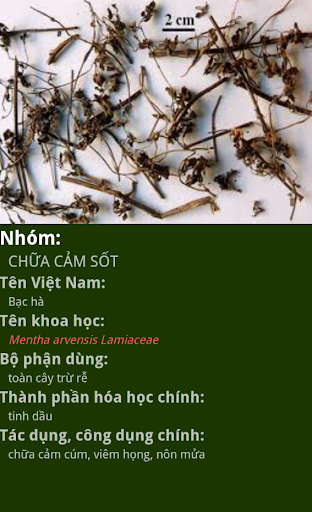 Dược Liệu Screen 3