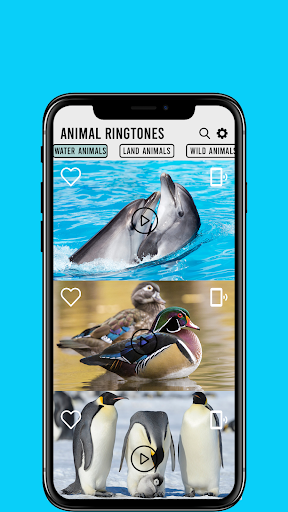 Animals Ringtones 2020