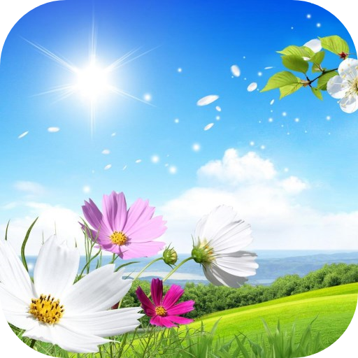 Soap Bubbles Live Wallpaper logo