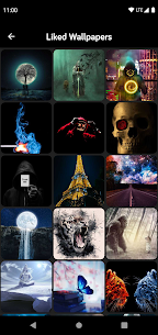 HD Wallpapers (Backgrounds) APK/MOD 3