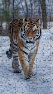 Tiger Puzzles