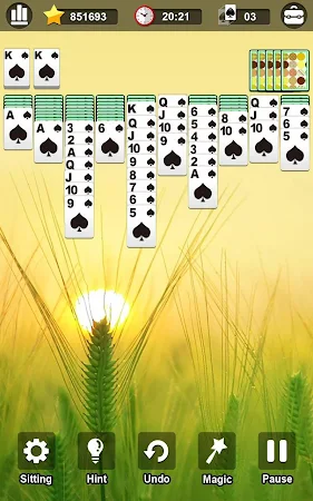 Game screenshot Spider Solitaire apk download