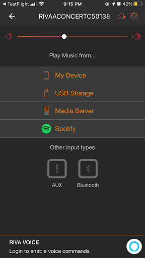 RIVA VOICE Screen 2