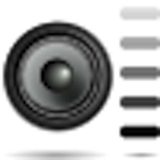 Dynamic Ring logo