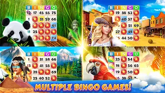 Game screenshot Bingo Cruise: Live Bingo Party apk download
