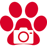 DogCam icon