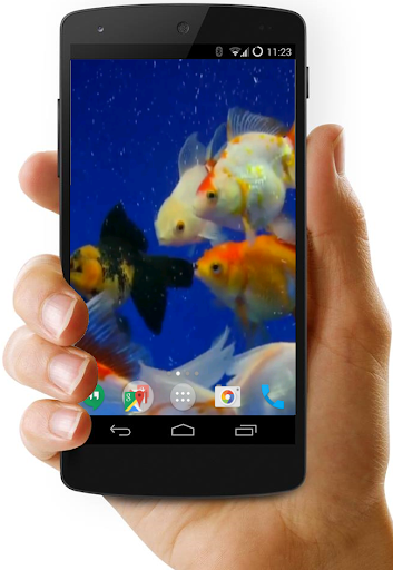 Android application 3D Fishes Video Live Wallpaper screenshort