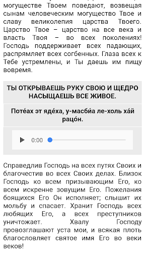 Pro-сидур для Бней Ноах Screenshot 4 - AppWisp.com