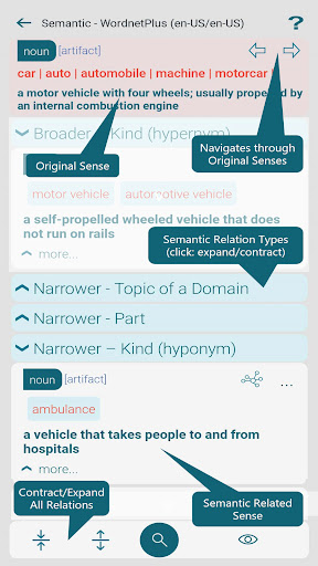 WordnetPlus English Dictionary Screen 3