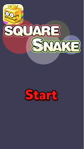 Square Snake