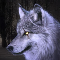 Wildlife Artic Wolf Game - Warewolf Games 2020
