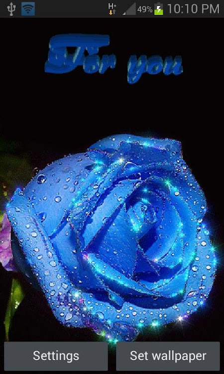 Blue Rose For You LWP - 3 - (Android)