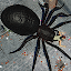 Spider Hunter Amazing City 1.1.9 (Money/Level/Ad-Free)