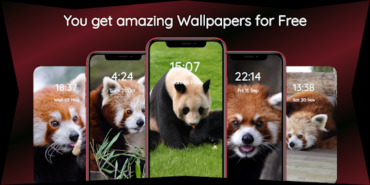 Panda Wallpapers | Cool Panda