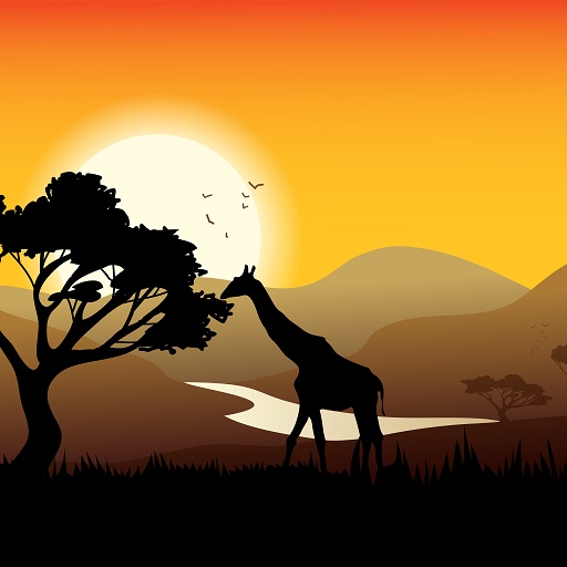 Discover Africa Wallpapers Download on Windows