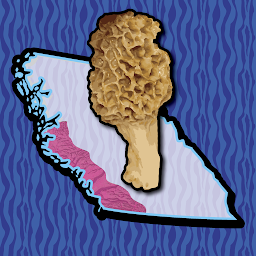 Ikonbilde Vancouver Mushroom Forager Map