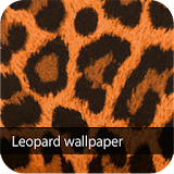 orange leopard Wallpaper ver4 icon