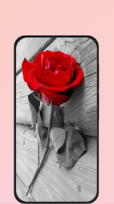 Captura 8 rose picture android