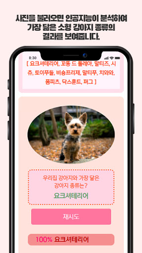 강아지 종류(소형) Screen 3