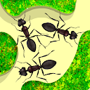 Ant Farm Simulator 2.1.3 APK Download