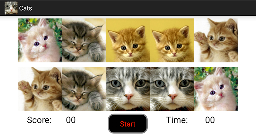 Cats Screen 2