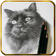 Pencil drawings for beginners