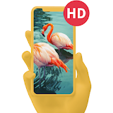 Bird Wallpaper Free Download icon