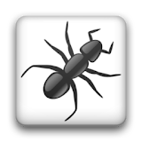 Langton's Ant icon