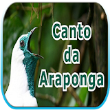 Canto da Araponga icon