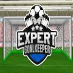Cover Image of Download Expert Goalkeeper  APK