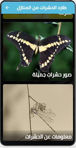 طرق طرد الحشرات من المنزل