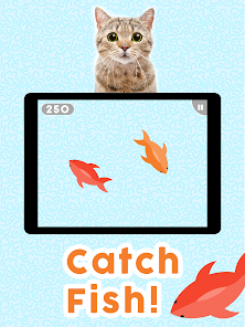CAT GAMES - 🐟 CATCHING FISH 1 HOUR VERSION (VIDEOS FOR CATS TO