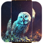 Cover Image of डाउनलोड Owl Wallpaper HD 1.06 APK