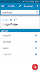 screenshot of French-Romanian Dictionary