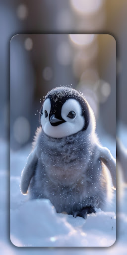 Birds Wallpaper in 4K screenshot 15