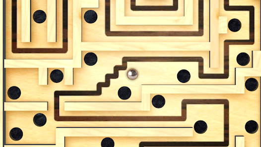 Maze Runner Labyrinth 3D : Free Maze Game by Jolta Technology