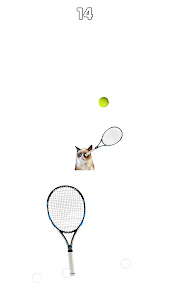 Cat Tennis: Battle Meme