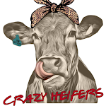 Cover Image of Descargar Crazy Heifers  APK
