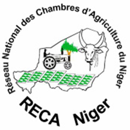 ReCA Download on Windows