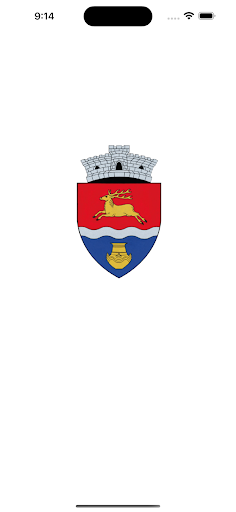 Android application Primăria Lăpuș screenshort