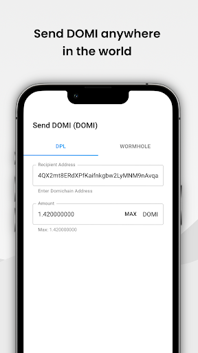 DWallet Screen 3