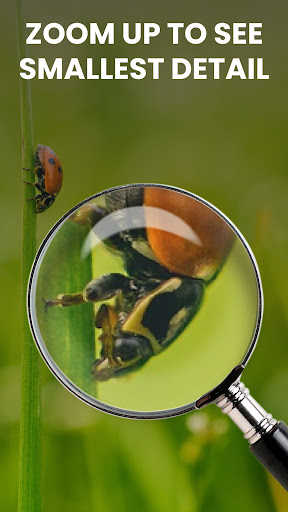 Screenshot of Magnifier: Magnifying Glass