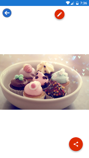 Candy Chocolate Cupcake Swe