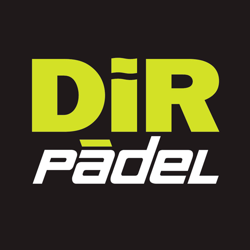 Lliga DIR logo