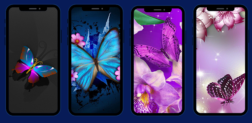 Butterfly Wallpapers