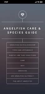 Angelfish Care & Species Guide